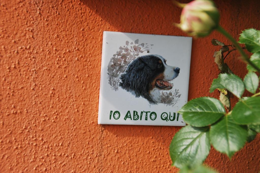 Villetta Gaia Colle Umberto  ภายนอก รูปภาพ